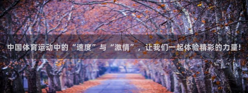 中国体育运动中的“速度”与“激情”，让我们一起体验精彩的力量!