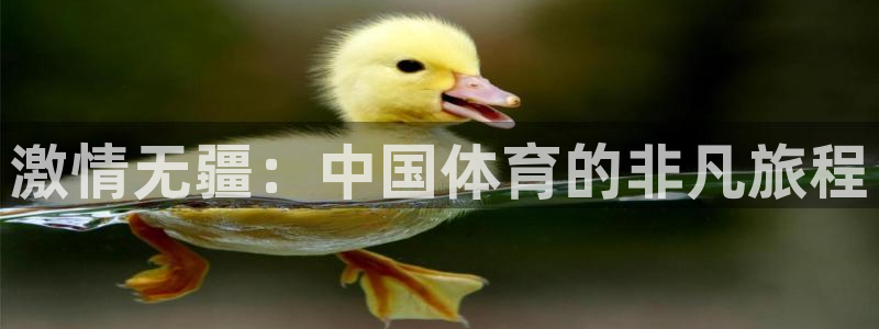 激情无疆：中国体育的非凡旅程