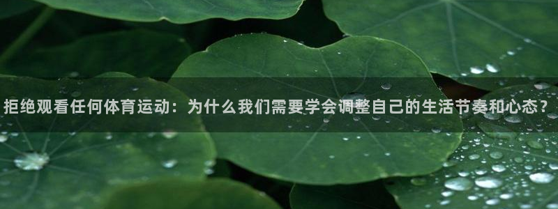 拒绝观看任何体育运动：为什么我们需要学会调整自己的生活节奏和心态？