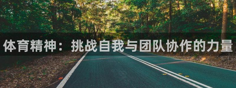 体育精神：挑战自我与团队协作的力量